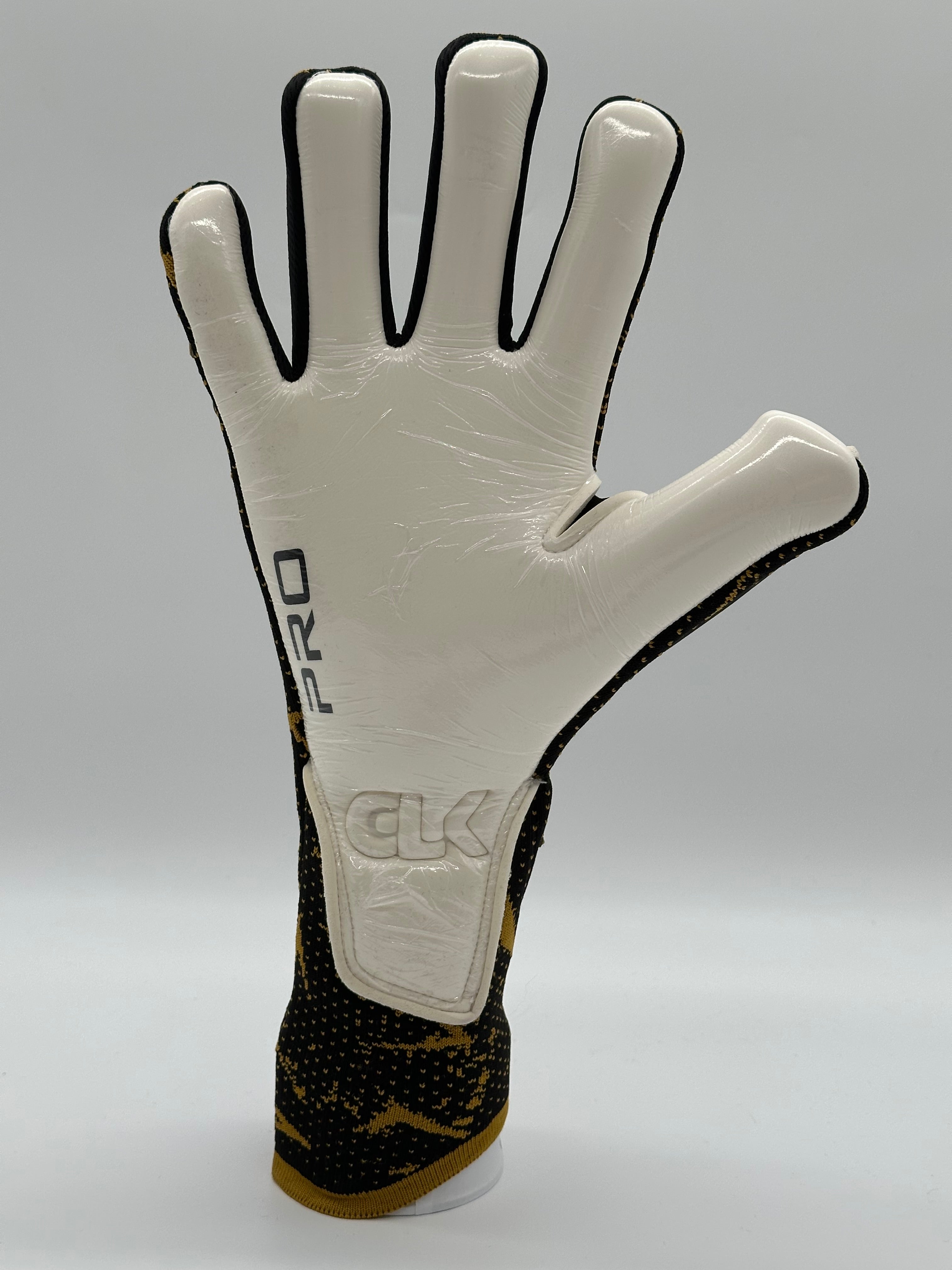 ATTILIUS PRO GOLD LIMITED